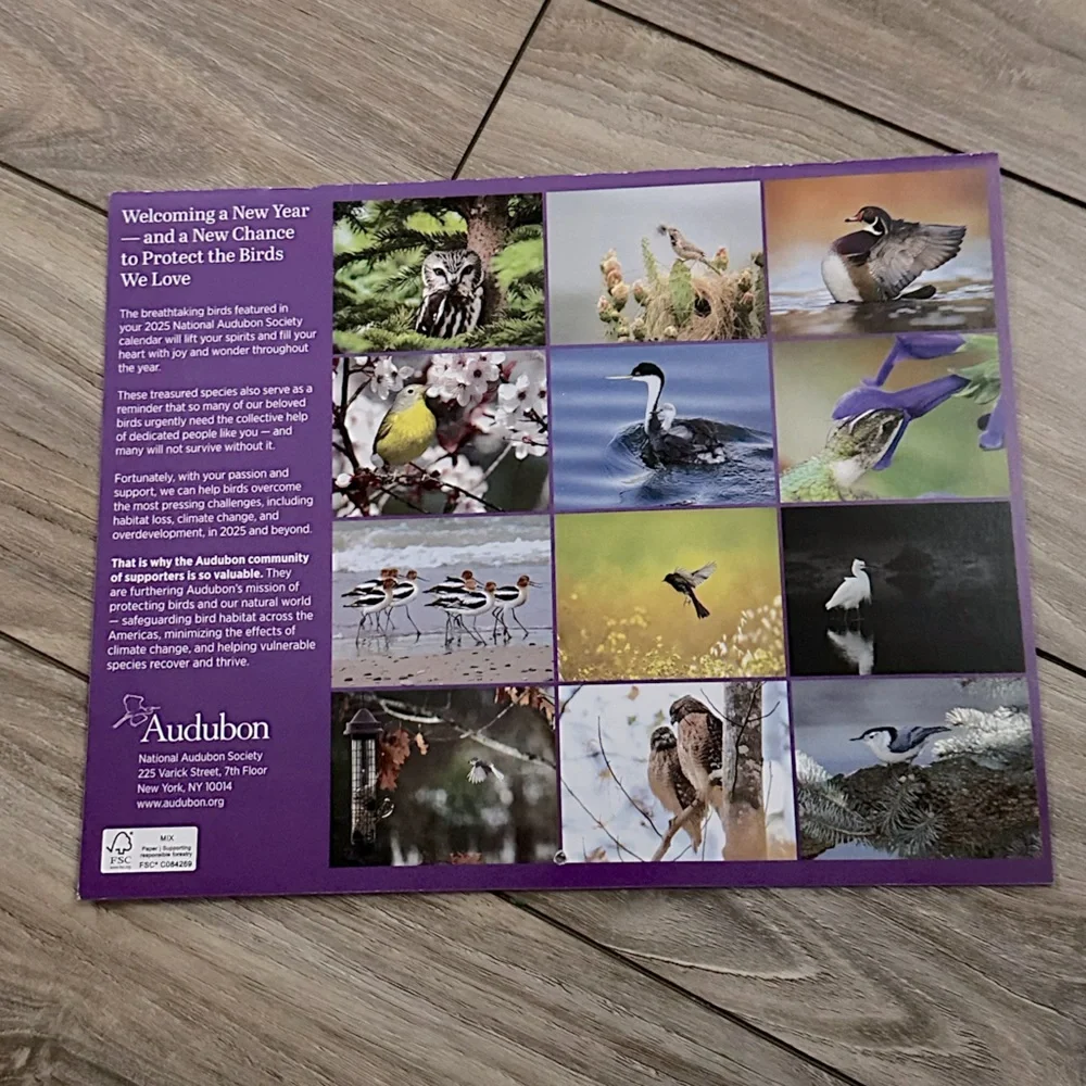 Audubon Society 2025 Protecting Birds & Nature 16 Month Calendar